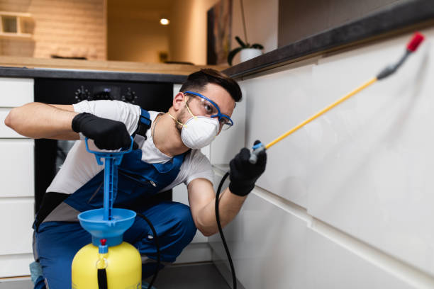 Wasp Removal Services in Detroit, MI