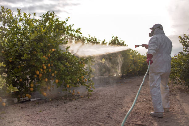 Best Pest Removal Services  in Detroit, MI