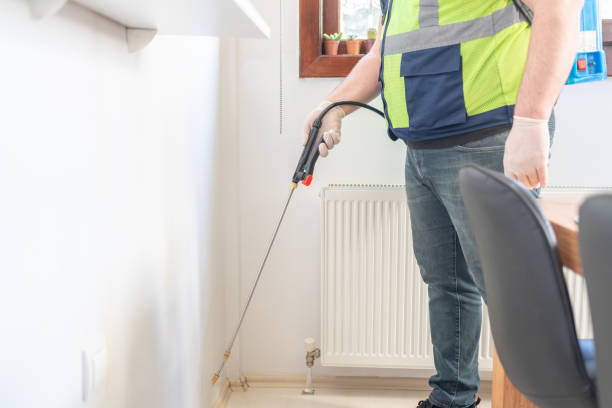 Best Affordable Pest Control Services  in Detroit, MI