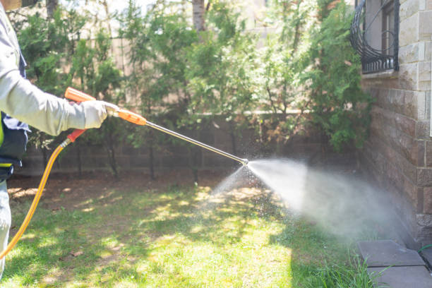 Best Best Pest Control Companies  in Detroit, MI