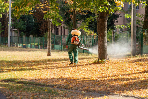 Best Termite Control Services  in Detroit, MI