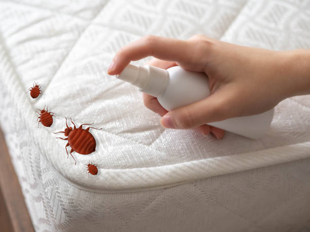 Insect Control in Detroit, MI