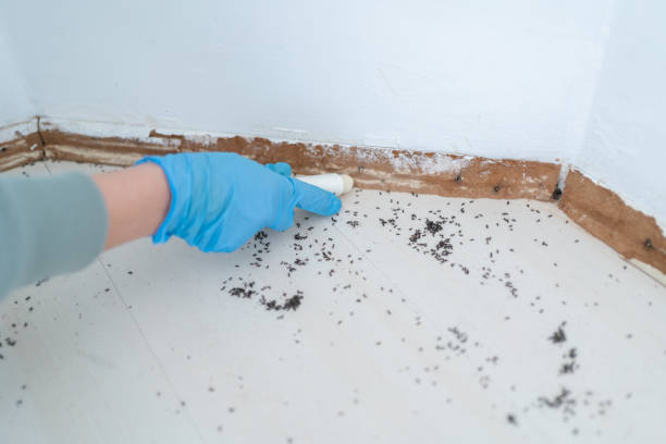  Detroit, MI Pest Control Pros