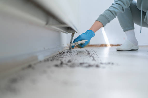 Detroit, MI Pest Control Company