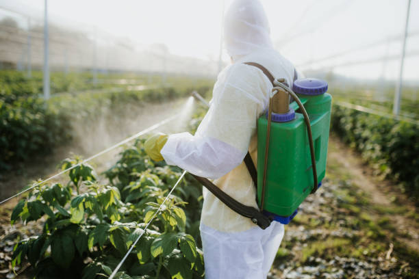 Best Wildlife Control Services  in Detroit, MI